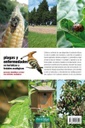 Plagas y enfermedades en hortalizas y frutales ecológicos