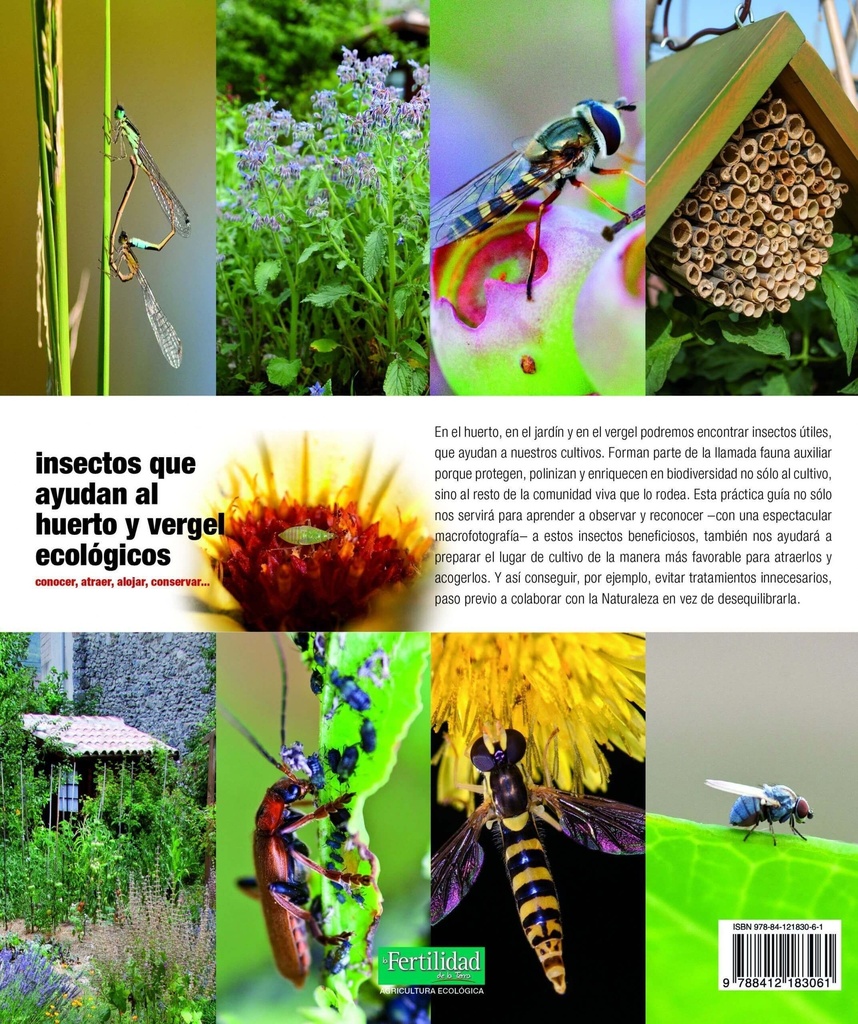 Insectos que ayudan al huerto y vergel ecológicos