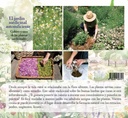 El jardín medicinal autosuficiente